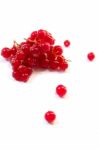 Redcurrants Stock Photo