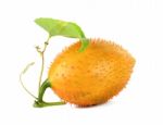 Gac Fruit Isolated On The White Background Stock Photo