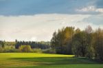 Green Spring Fields. Sunny Day Stock Photo