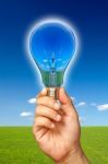 Ecological Concept Bulb Stock Photo