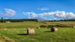 Farm Near Culloden Stock Photo