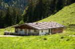 Alpine Pasture Stock Photo