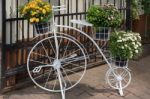 Bucharest/romania - September 21 : White Penny Farthing Bicycle Stock Photo