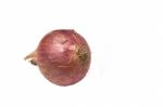 Onion Stock Photo