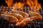 Shrimp ,seafood Grilled On Barbecue Fire Stove Stock Photo