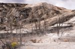 Mammoth Hot Springs Stock Photo