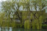 View Of The Rose Revived Public House Next To The New Bridge Ove Stock Photo