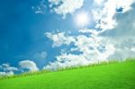 Grass With Blue Sky Stock Photo