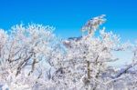 Deogyusan Mountains In Winter, Korea Stock Photo