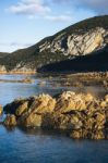 Beautiful View Of Rocky Cape, Tasmania Stock Photo