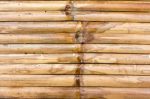 Bamboo Fence Stock Photo