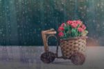 Basket Of Roses On Wooden Stock Photo