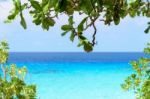 Beautiful Blue Sea At Koh Miang In Mu Koh Similan, Thailand Stock Photo