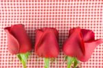 Red Rose  Image Of Valentines Day Stock Photo