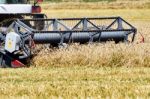 Harvesting Wheat Stock Photo