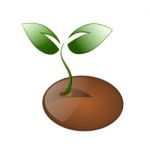 Little Plant And Seed Isolated Stock Photo