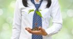 Lady Hand Holding Growing Plant Stock Photo