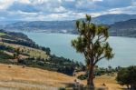 Otago Peninsula Stock Photo