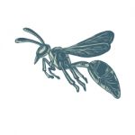 Yellowjacket Flying Scratchboard Stock Photo