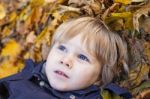 Small Blond Boy With Blue Eyes Lays On Bed Of Autumn Fallen Leav Stock Photo