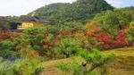 Kinkakuji's Roof And Autumn Leaves In Kyoto Stock Photo