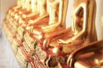 Row Of Golden Buddha Statue (selective Focused) Stock Photo