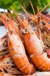 Grilled Shrimp Stock Photo