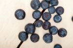 Fresh Blueberry Stock Photo