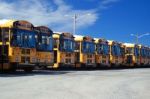 School Bus Stock Photo