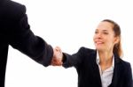 Hand Shaking Business People Stock Photo