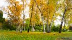 Autumn Season In Russia Moscow Stock Photo