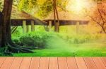 Watering The Grass In The Backyard Stock Photo