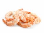 Shrimps Stock Photo