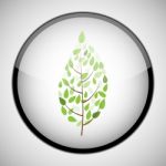 Tree In Circle Frame. Icon Concept Stock Photo