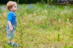 Cute Small Boy At The Field Of Flowers Having Good Time Stock Photo