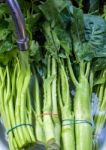 Morning Glory And Chinese Kale Wash In Water Stock Photo