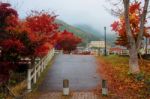 Bridge Surrounded By Autumn Color Foliage Stock Photo