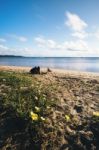 Adams Beach On Stradbroke Island, Queensland Stock Photo