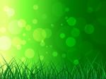 Copyspace Background Represents Green Grass And Backgrounds Stock Photo