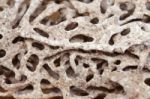 Close Up Of Termite Nest Background Stock Photo