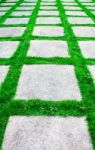 Green Grass Growth Between Cement Walkway Stock Photo