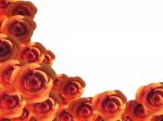 Copyspace Roses Represents Romance Bloom And Copy-space Stock Photo