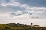 Coast Of  Norway Sea In Clouds Of Fog. Cloudy Nordic Day Stock Photo