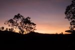 Silhouette For Trees And Mountain Stock Photo