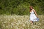 young Woman In Meadow Stock Photo