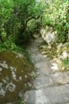 Stone Stairs In A Bright Jungle Scene Stock Photo