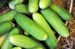 Green Cucumber Stock Photo