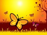 Butterflies And Flowers Show Evening Nature And Summer Stock Photo