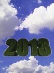 2013 New Year Sign Of Green Grass Against The Sky Stock Photo