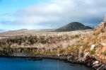 Dry Forests On The Island San Cristobal, Galapagos Stock Photo